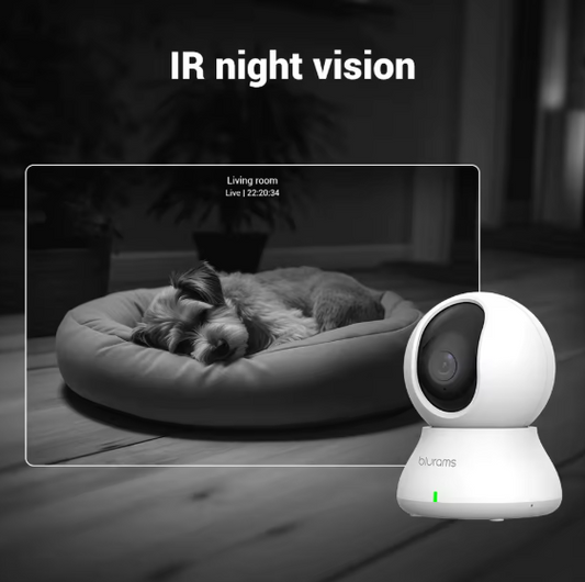 Telecamera di Sorveglianza Wi-Fi Blurams 360° con Visione Notturna