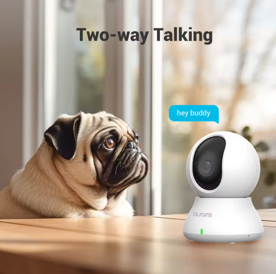 Telecamera di Sorveglianza Wi-Fi Blurams 360° con Visione Notturna